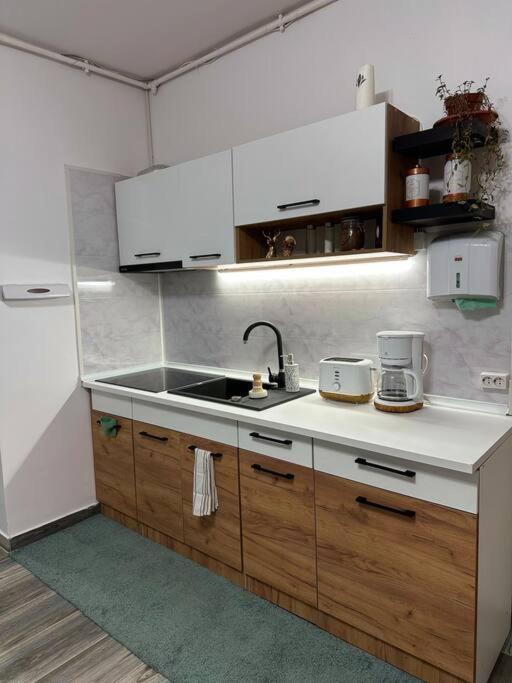 Zion Home Сибиу Экстерьер фото